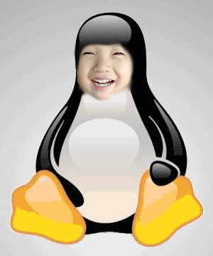 SkyVision logo — Tux with a smiling child's face